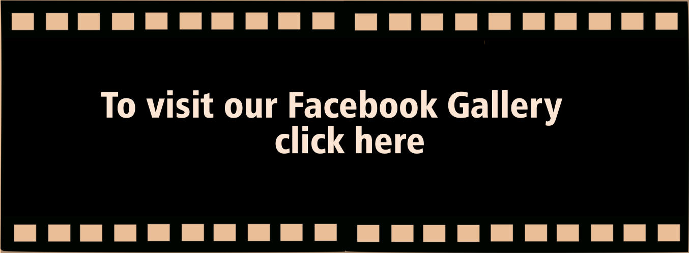 To visit our Facebook Gallery  click here